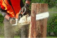 Leeds Tree Care Services image 5